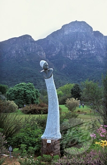 South Africa Cape Town Botanical Garden Kirstenbosch