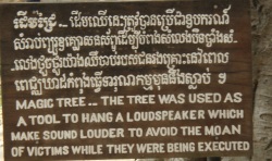 Magic Banyan Tree