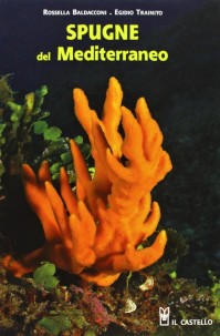 Sponges of the Mediterranean - NHBS.com
